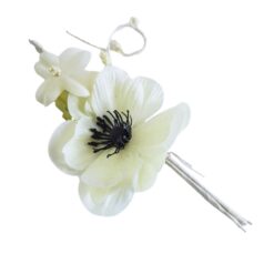 Fascina Papavero + Pistillo Crema