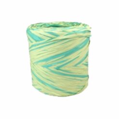 Nastro Polyraphia Bicolore