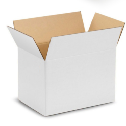 Scatola bianca per trasporto