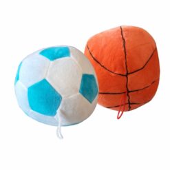 Palla Calcio/Basket