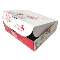 LS 107 A NATALE aperta